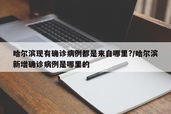 哈尔滨现有确诊病例都是来自哪里?/哈尔滨新增确诊病例是哪里的