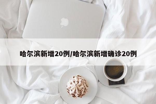 哈尔滨新增20例/哈尔滨新增确诊20例