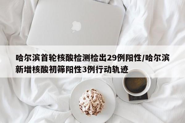 哈尔滨首轮核酸检测检出29例阳性/哈尔滨新增核酸初筛阳性3例行动轨迹